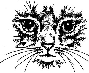 Tampon Decoratif Tres Jolie Tete De Chat N 7527 Ebay