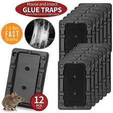 12 Trampas De Pegamento Para Ratones y Cucarachas Insectos Interior En Oferta