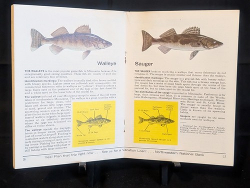 Vintage 1966 MN Minnesota Family FISHING GUIDE Art by LES KOUBA 31 pages 6"x4.5" - Picture 3 of 4