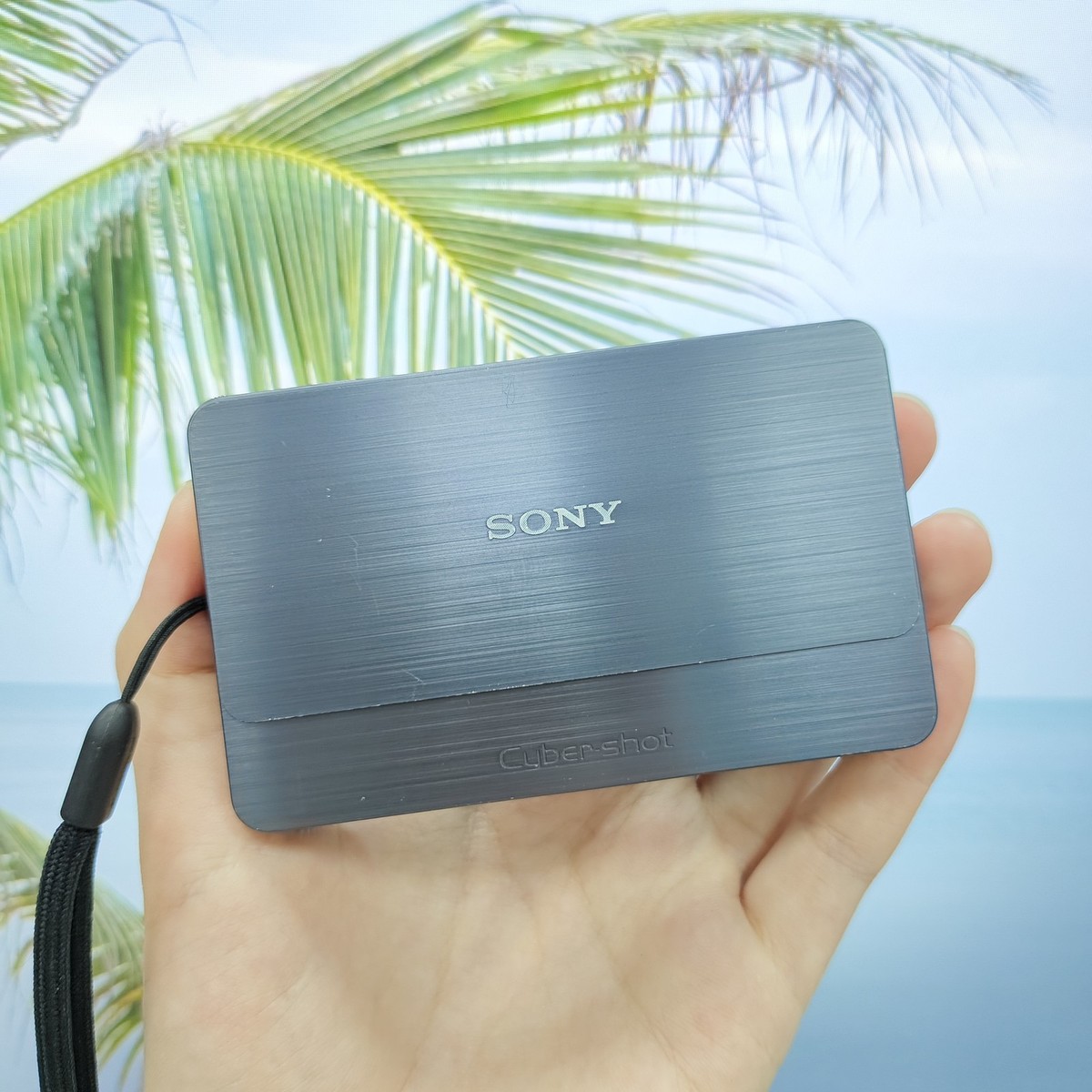 Sony Cyber-shot DSC-T700 10.1MP Digital Camera Black English