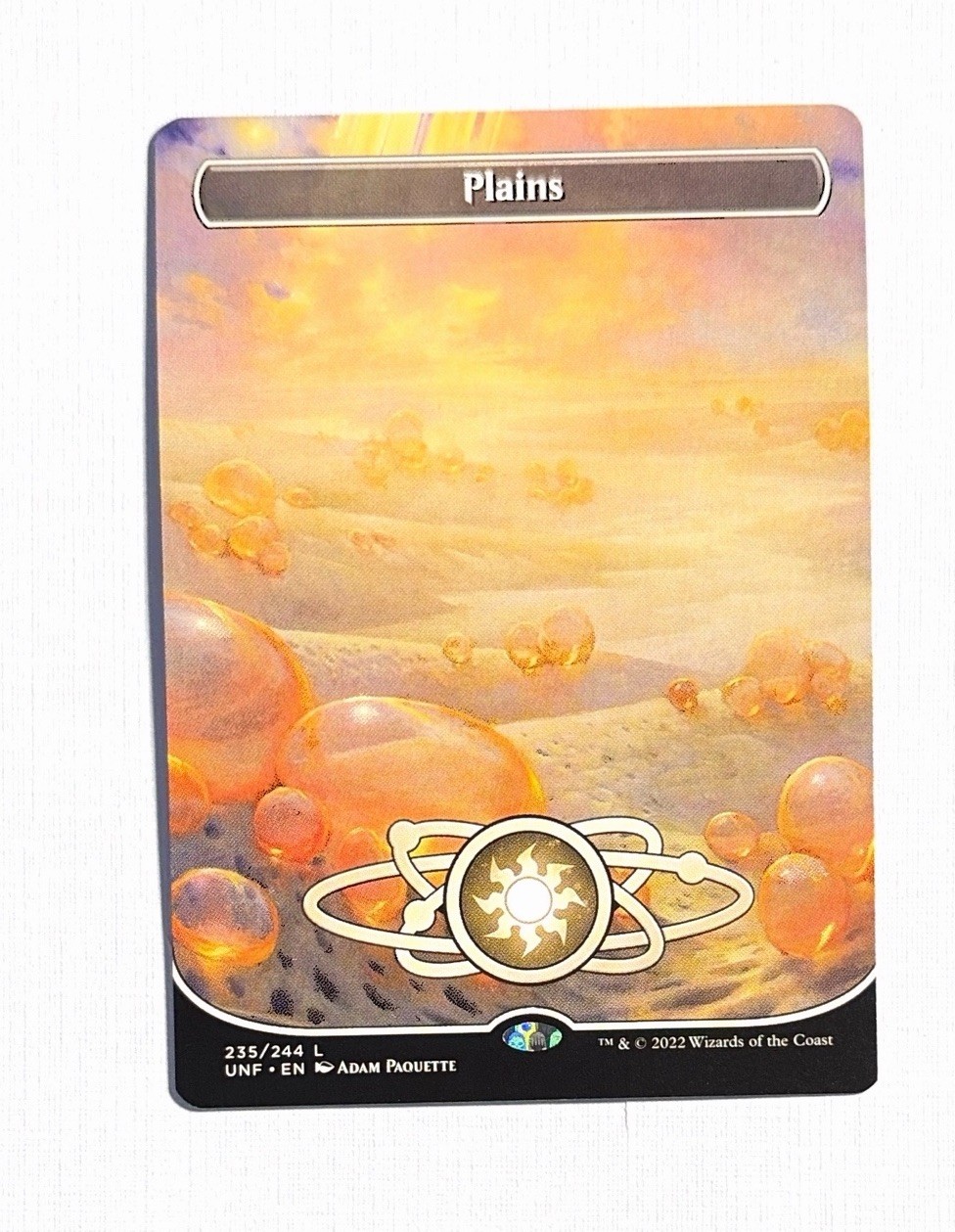 Plains ~ MTG Unfinity ~ Borderless 235/244