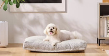 NEW  Saatva Dog Bed, Taupe Boucl , Medium  Freeshipping