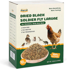 Dried Black Soldier Fly Larvae, 10LB All Natural Chicken  Bird Treats, High-Pro