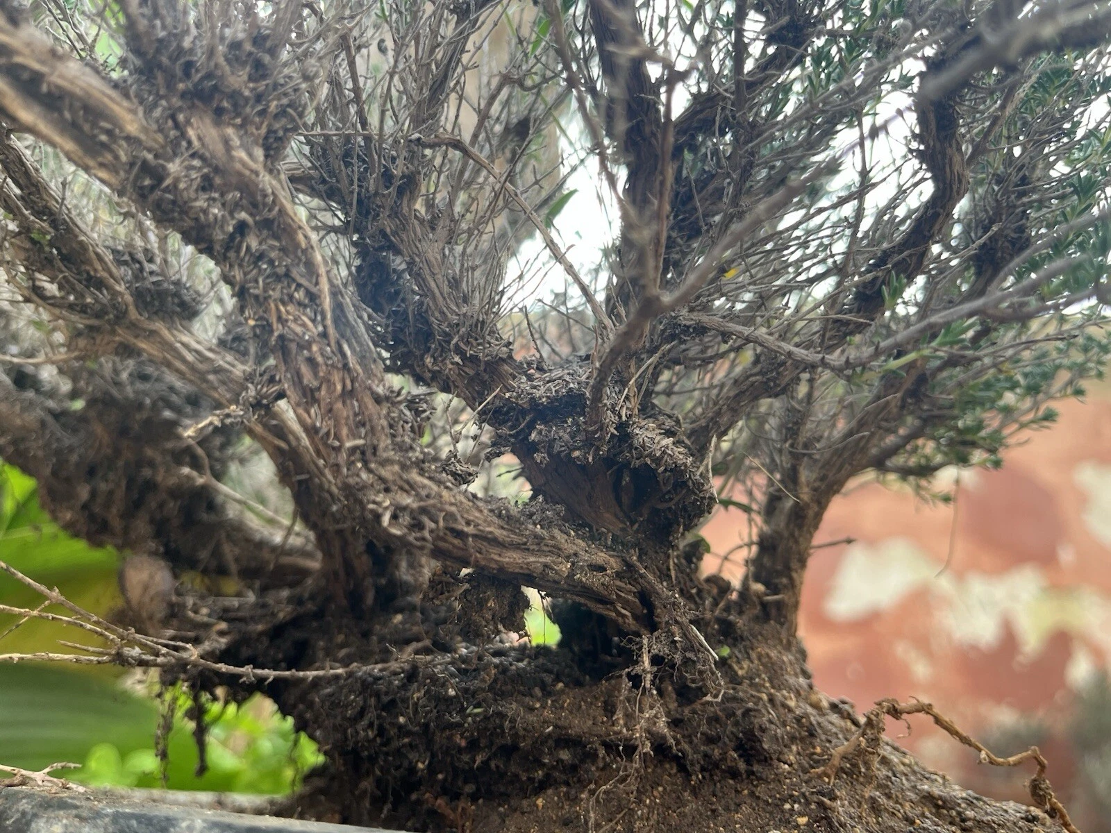 Foto 2 di 6