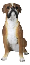 Large 18" Tall Adorable Realistic Sitting Fawn Boxer Dog Statue Home Decor