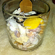 Large glass jar display with assorted sea shells