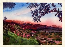 Pink Topa Topas : Sandra Watercolors? California : Signed Limited Edition