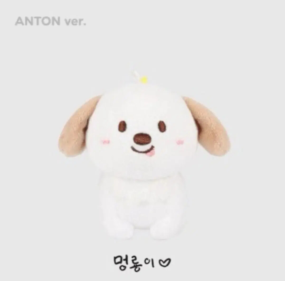 Rise Riize Anton Chanyoung is a 10cm doll | eBay