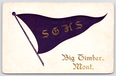 Big Timber Montana~Sweet Grass High School Pennant~Widdiecombe of Bozeman