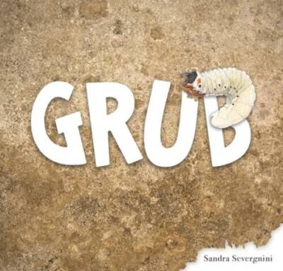 Grub - Hardcover By Severgnini, Sandra - GOOD