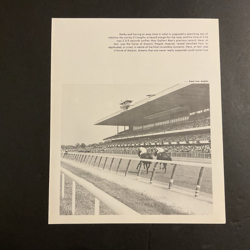 SECRETARIAT  8 X 10 photo Horse  Racing  BELMONT PARK BELMONT STAKES