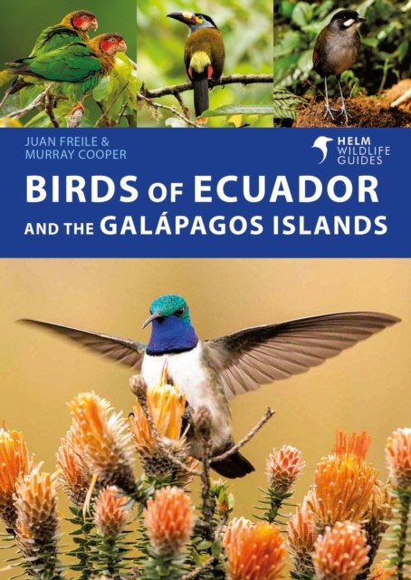 Birds of Ecuador and the Galapagos Islands by Juan Freile (Paperback Book)