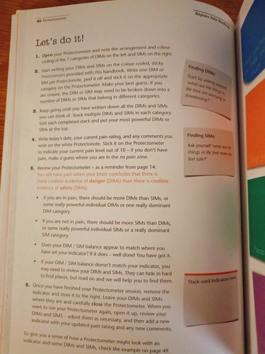 The Explain Pain Handbook Protectometer GL Moseley DS Butler Australia 2021 BP - Picture 12 of 15
