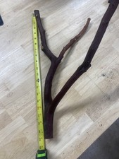 Red Skin Manzanita Wood, Driftwood, Reptile Tank Decor, Aquarium, Terrarium