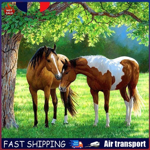 Kit Complet Peinture Diamant 5D à Faire Soi-même - Motif Cheval 30x40 Cm - Toile Autocollante, Strass, Outils Inclus - Décoration Murale Ou Cadeau Créatif - 10