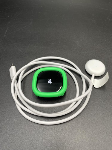 Fitbit Google Ace LTE - Montre connectée enfant - épicée - Moovin