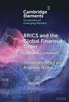 Johannes Petry (U. A.) | Brics And The Global Financial Order | Buch | Englisch