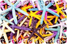 Starfish 63 Piece MINI Wooden Jigsaw Puzzle 