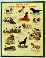 Original Vintage 1972 Remington Arms Know Your Hunting Dogs Poster 29"x23"