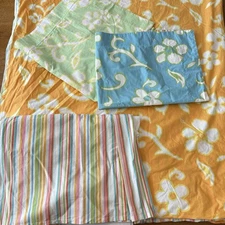 Pottery Barn Wahine 4 pc SET Twin Duvet Cover + Bed Skirt + Shams Floral Stripe