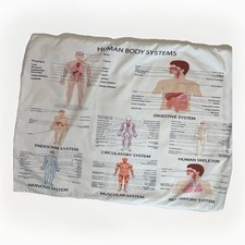Federa Sistema Corpo Umano Anatomia Cuore Cervello Scheletro Muscoli 19 X 26