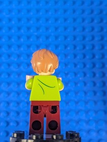 Lego Scooby-Doo: Shaggy Rogers - Closed Mouth scd001 Sets 75901, 75900