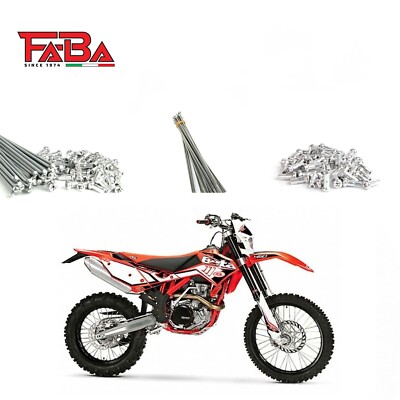 Satz Speichen + Nippel Original BETA RR 498 (12) Vorderrad 21'