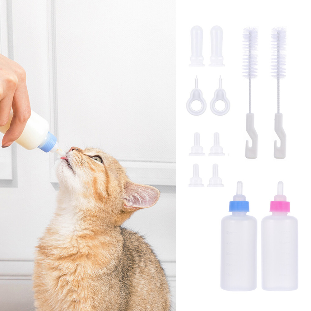 12pcs Kitten Baby Bottle Kitten Water Bottle Pet Feeding Bottle eBay