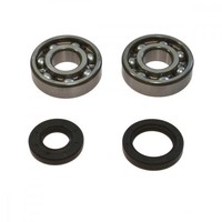 Kurbelwellenlager Satz All Balls Mit Simmerringen 24-1025 FüR Suzuki RM 250 2002