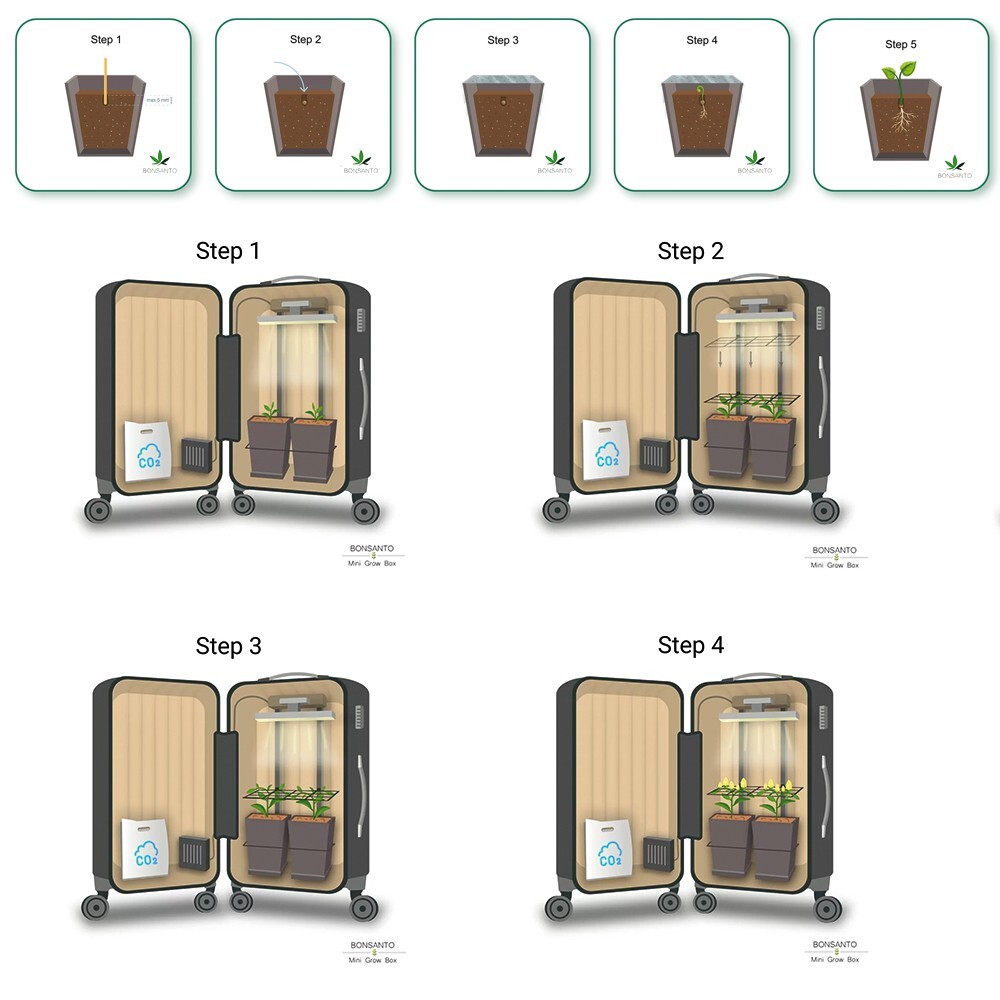 All-Inclusive Package: Bonsanto Mini Grow Box Suitcase Discreet Plant  Growing! | eBay
