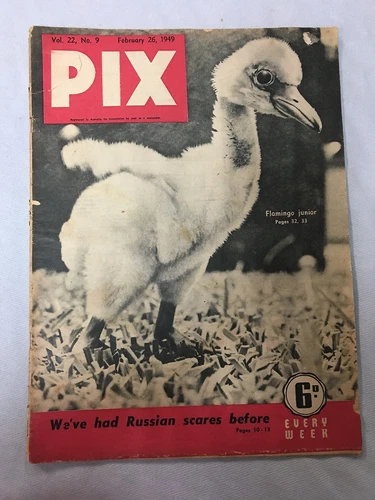 #T71. PIX MAGAZINE, 26th FEBRUARY 1949 - Picture 1 of 3