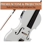 Hand-Carved Violin with Ebony Fine Tuners