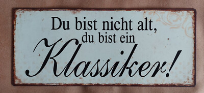 Retro Blechschild 30x13 Du bist nicht alt Du bist ein Klassiker