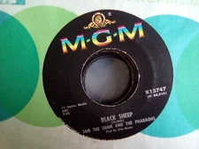 sam the sham black sheep