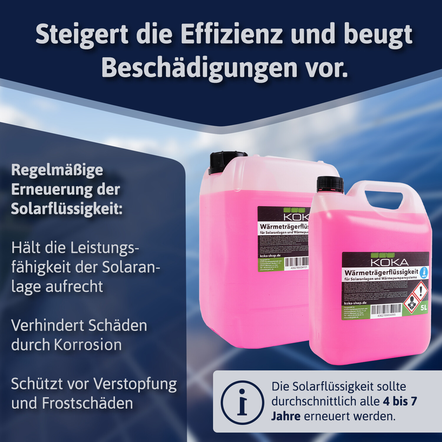 Bild 3 von 6