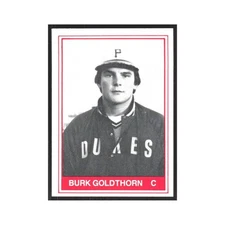 1982 TCMA Minor League Burk Goldthorn Alexandria Dukes #15