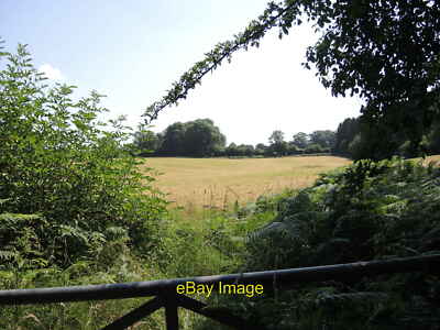 Photo 12x8 An open field by Brockley Combe Chelvey Batch A summer scene -  c2021