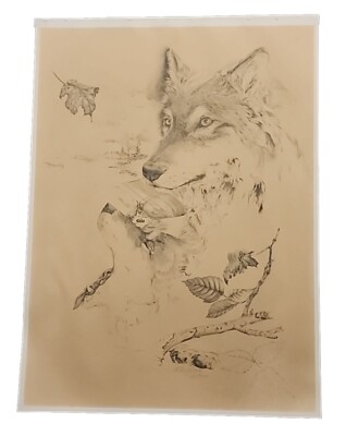 Antique Artwork - Wolf Sketch - LE 62/300  C.J. CLYDE - Wolf Art - 24'' × 18''