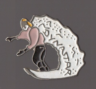 pins mode Sportbekleidung und Accessoires / Dynastar