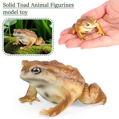 1pc Frog Figurine Realistic Animal Model Educational Teaching model Prop T3V5
