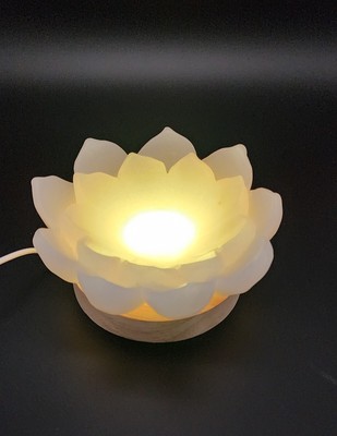 White Jade Hand Carved Lotus Flower, With Wood Color Changing Base Included!