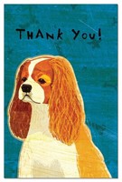 Tree-free Greetings Eco-notes Thank You Card Set, 4 X 6 Inches, 12-count Cards W Tree-free Greetings Eco-notes Thank You Card Set, 4 X 6 Inches, 12-count Cards W
