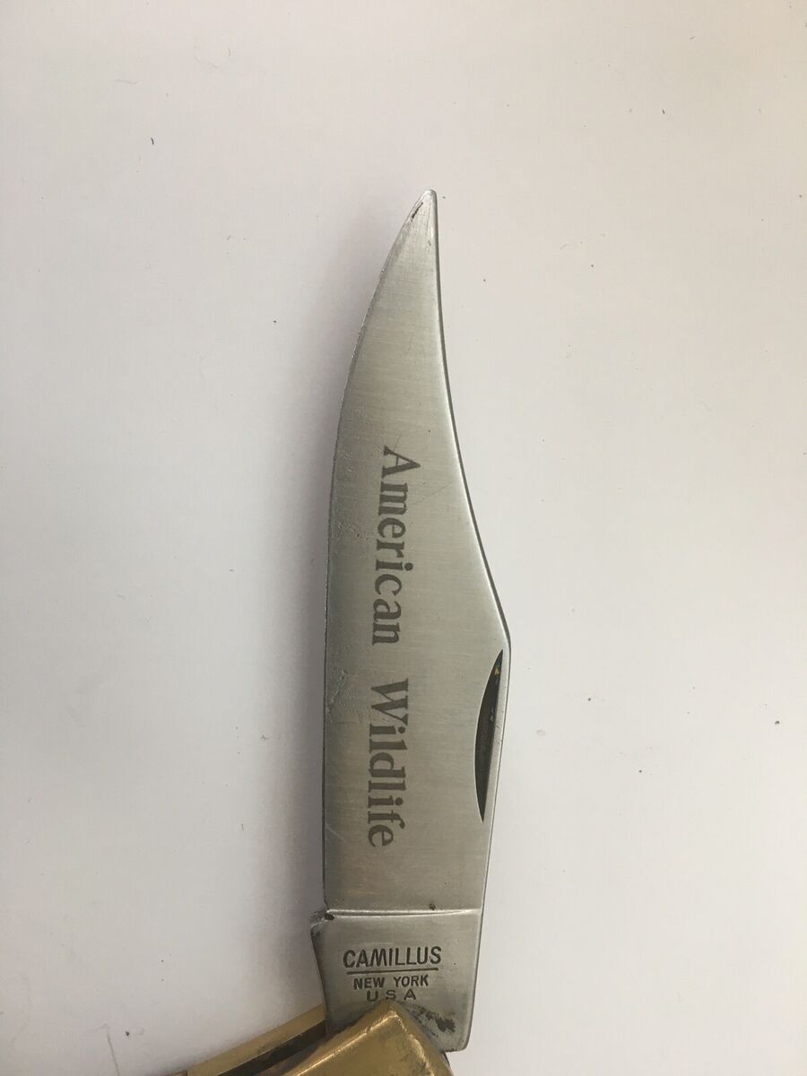 rare vintage Camillus 11 American Wildlife Knife . | eBay rare vintage Camillus 11 American Wildlife Knife . | eBay