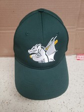 Dragon Baseball Cap adjustable one size fits all Green pre owned light use
