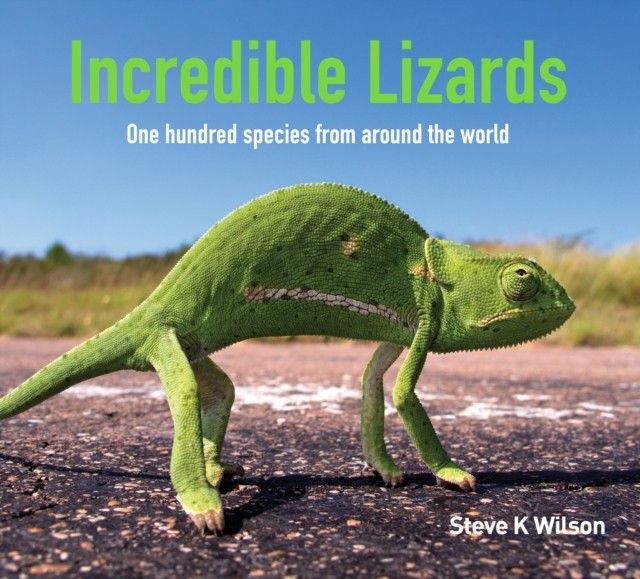 Incredible Lizards: One hundred species from around the world by Steve K. Wilso - Image 3