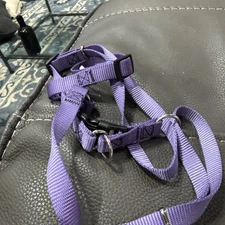 Pet Supplies Muzzle Dog Halter Harness Classic Adjustable Training Leader Belt