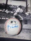 Jason Varitek Autographed Baseball Boston Red Sox Legend Signed