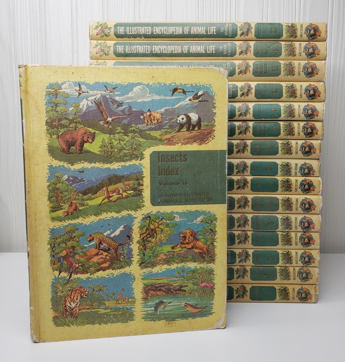 全巻セット ANIMAL LIFE Illustrated Encyclopedia of Animal Life Vtg Book Set 1961