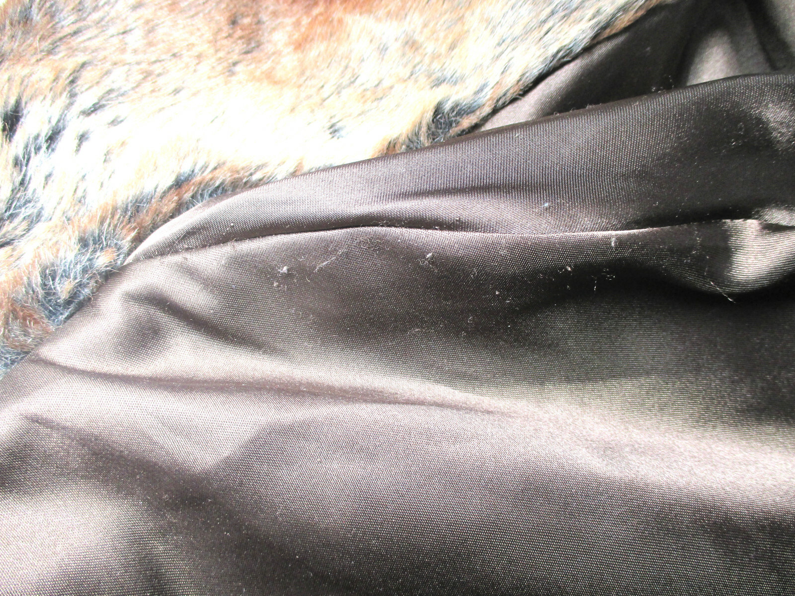 Bild 5 von 11