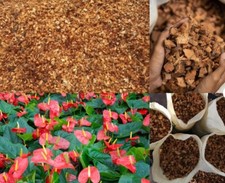 High Quality Ceylon Coconut Husk Chips Coconut Husk Fiber Orchids Anthurim Growi